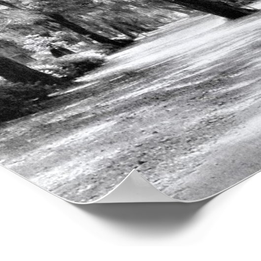 Old Southern Walkway Poster (Hoek)