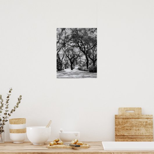 Old Southern Walkway Poster (Keuken)