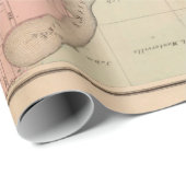 Old Stillwater MN Map (1874)  Cadeaupapier (Rol Hoek)