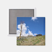 Old Stone Cabin at Gaylor Lakes, Tioga Pass, CA Magneet (Voorkant / Achterkant)