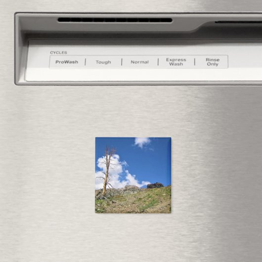 Old Stone Cabin at Gaylor Lakes, Tioga Pass, CA Magneet (Insitu (Vaatwasser))