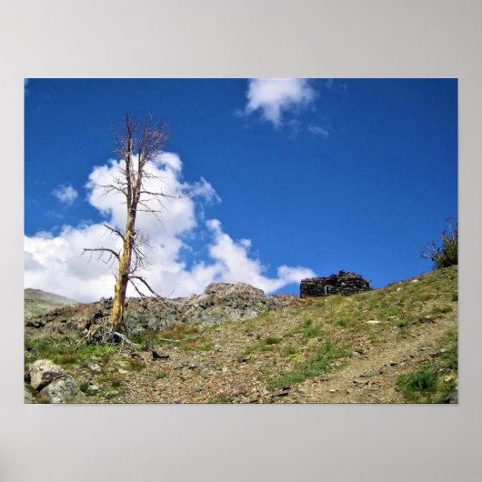 Old Stone Cabin at Gaylor Lakes, Tioga Pass, CA Poster (Voorkant)