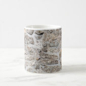 Old stone wall at belgrade fortress, belgrade ser koffiemok (Center)