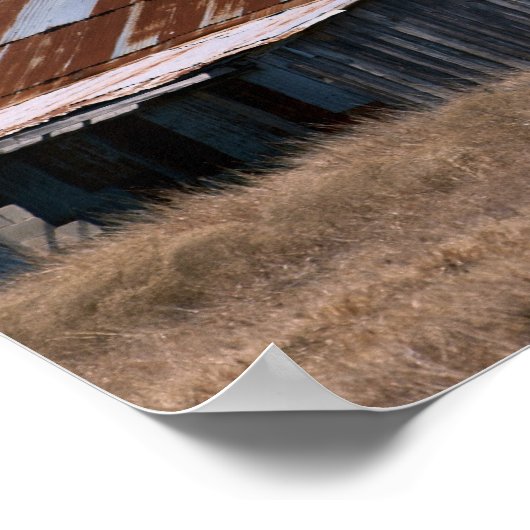 Old Texas Barn 37 Poster (Hoek)
