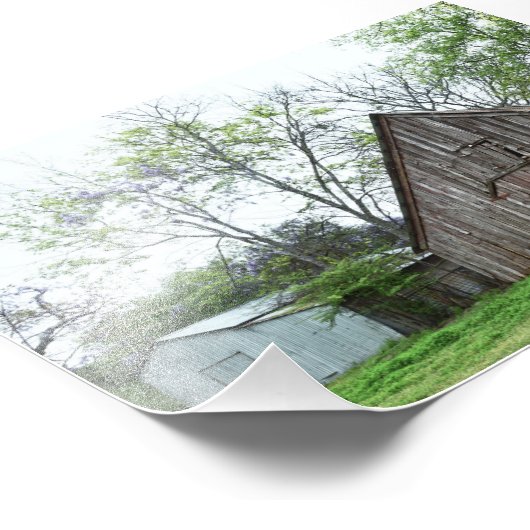 Old Texas Barn en Shed Foto Afdruk (Hoek)