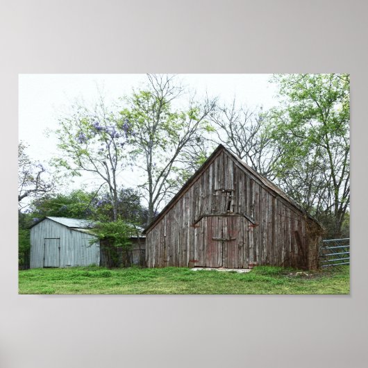Old Texas Barn en Shed Poster (Voorkant)