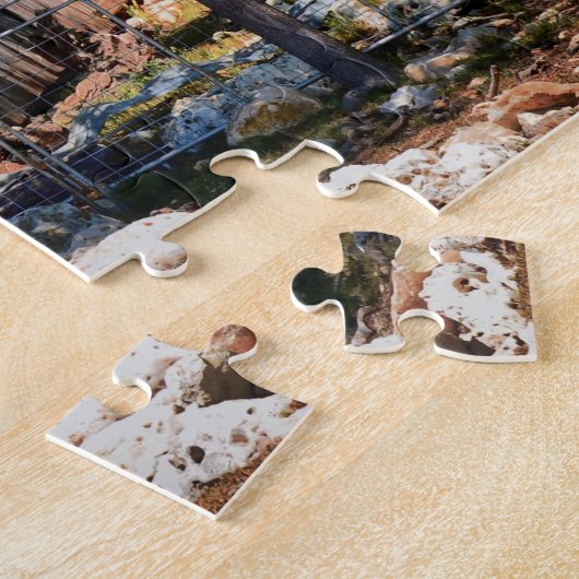 Old Texas Barn Legpuzzel (Zijkant)