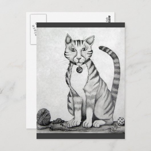 Old Tiger TomCat Briefkaart (Voorkant / Achterkant)