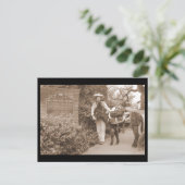 Old Time-donkey Briefkaart (Staand voorkant)