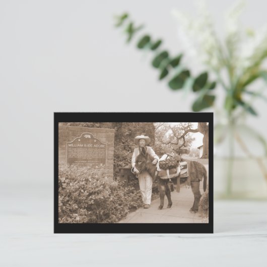 Old Time-donkey Briefkaart (Staand voorkant)