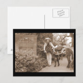 Old Time-donkey Briefkaart (Voorkant / Achterkant)