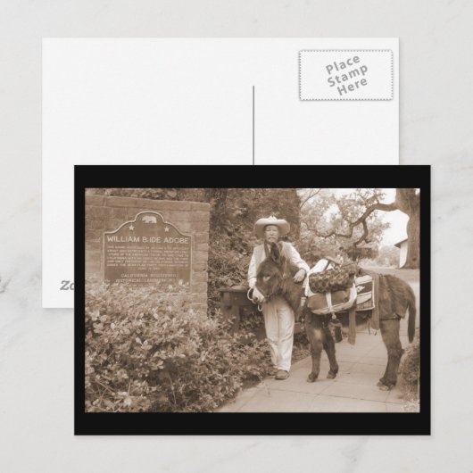 Old Time-donkey Briefkaart (Voorkant / Achterkant)