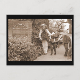 Old Time-donkey Briefkaart