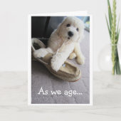 Old Timer Birthday, Cute Goldendoodle pup Humor Kaart (Voorkant)