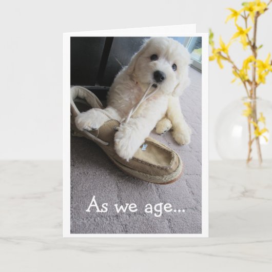 Old Timer Birthday, Cute Goldendoodle pup Humor Kaart (Gele Bloem)