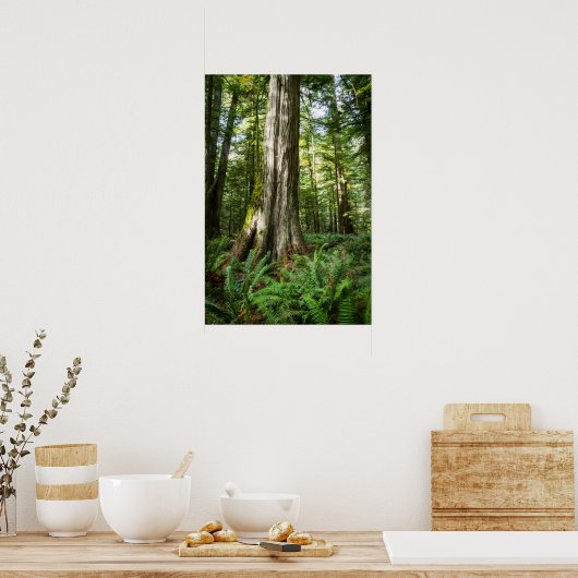 Old Timer Poster (Keuken)