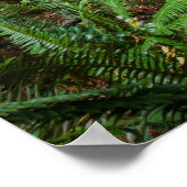 Old Timer Poster (Hoek)