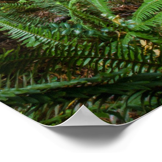 Old Timer Poster (Hoek)