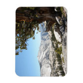 Old Tree at Yosemite National Park Magneet (Verticaal)