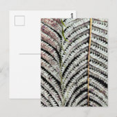 Old Tree Fern Frond Briefkaart (Voorkant / Achterkant)