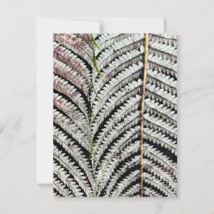 Old Tree Fern Frond Briefkaart