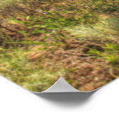 Old truck loss in field poster (Hoek)