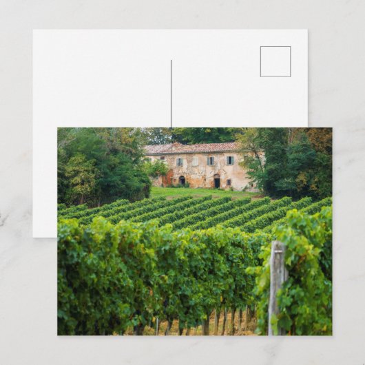 Old Tuscan Vineyard en Villa Briefkaart (Voorkant / Achterkant)