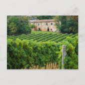 Old Tuscan Vineyard en Villa Briefkaart (Voorkant)
