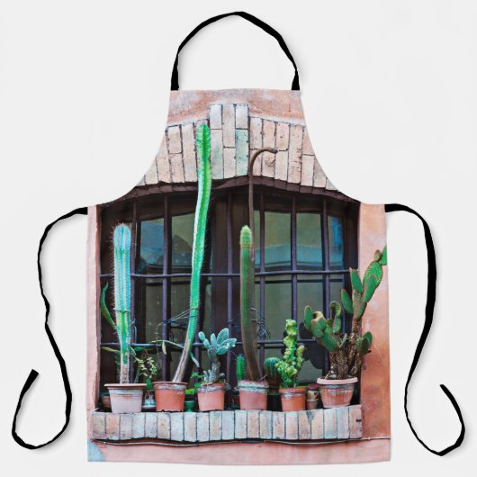 Old vided window with group of cactus flower p schort (Voorkant)