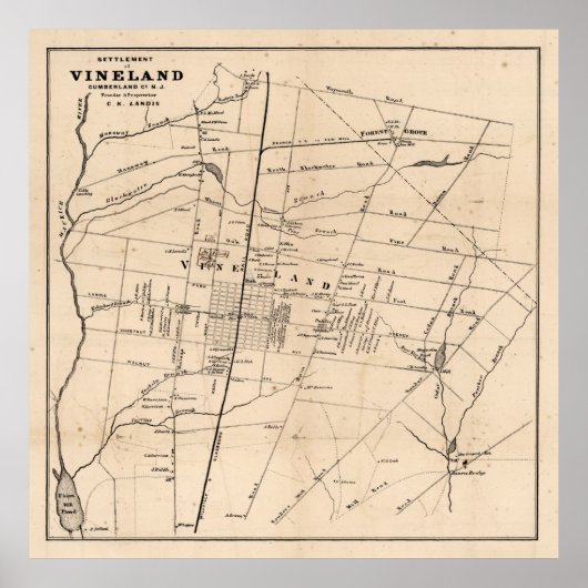 Old Vineland NJ Map (1875) Dandelion Capital Poster (Voorkant)