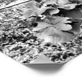 Old Wagon Wheel Garden zwart-wit Poster (Hoek)