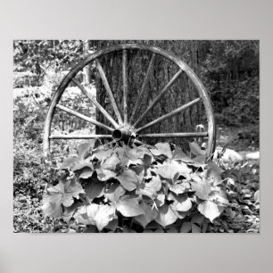 Old Wagon Wheel Garden zwart-wit Poster