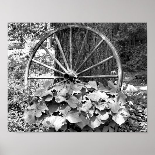 Old Wagon Wheel Garden zwart-wit Poster (Voorkant)