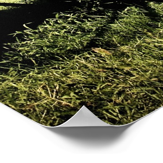 Old West Covered Wagon 04 Poster (Hoek)