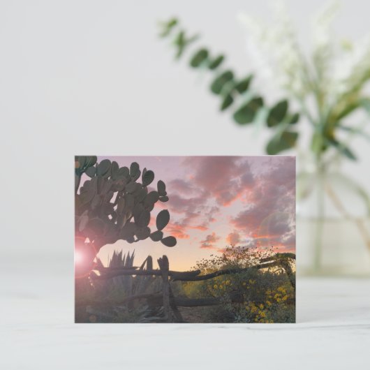 Old West Fence Desert Sunset Flare Briefkaart (Staand voorkant)