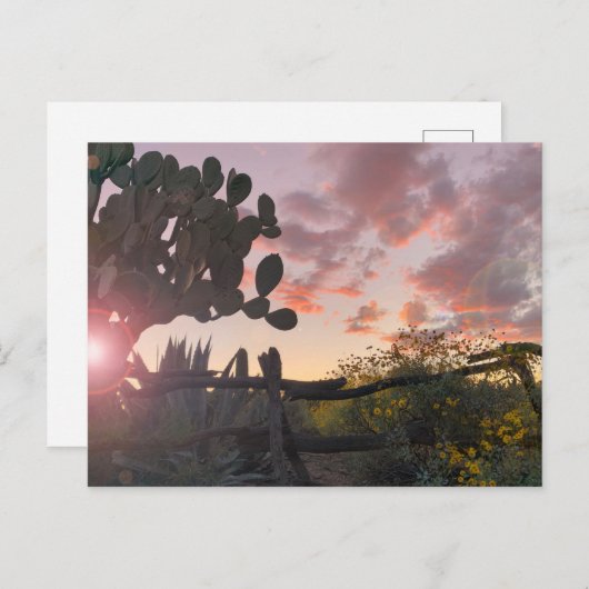 Old West Fence Desert Sunset Flare Briefkaart (Voorkant / Achterkant)