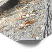 Old West Pioneer Wagon Poster (Hoek)