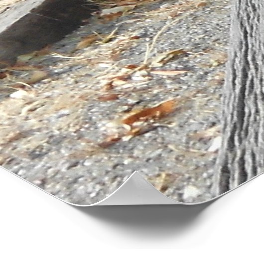 Old West Pioneer Wagon Poster (Hoek)