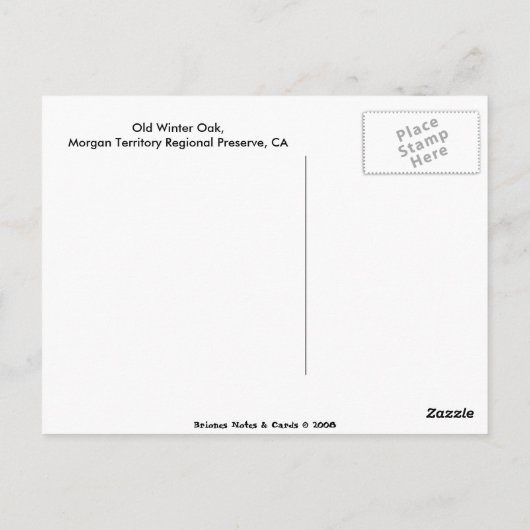 Old Winter Oak Briefkaart (Achterkant)