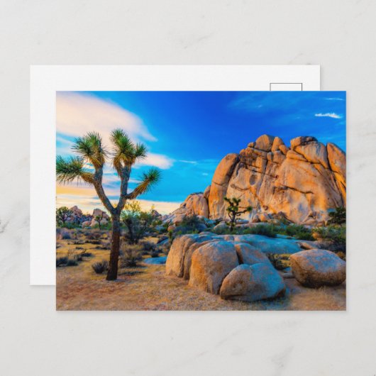 Old Woman Rock - Joshua Tree National Park Briefkaart (Voorkant / Achterkant)