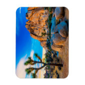 Old Woman Rock - Joshua Tree National Park Magneet (Verticaal)