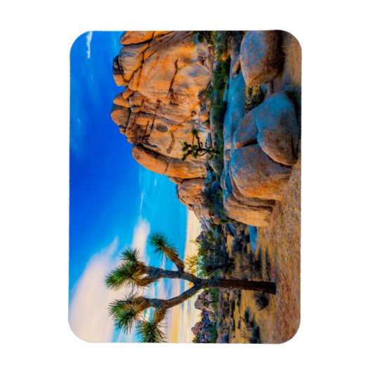 Old Woman Rock - Joshua Tree National Park Magneet (Verticaal)
