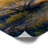 Old Woman Rock - Joshua Tree National Park Poster (Hoek)