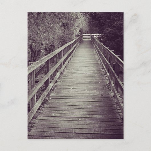 Old Wooden Boardwalk Briefkaart (Voorkant)