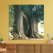 Old Yew Trees Canvas Afdruk (Insitu (Woonkamer))