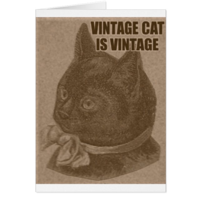 Olde LOLcat (Voorkant)