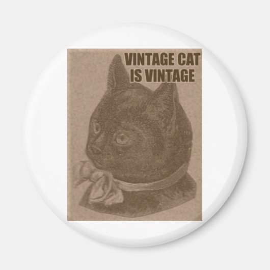 Olde LOLcat Magneet (Voorkant)