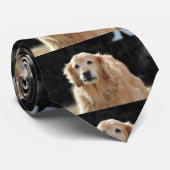 Olden Golden Stropdas (Opgerold)