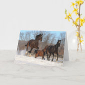 Oldenburg en Hanoverian Mares in Snow Kaart (Gele Bloem)