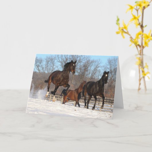 Oldenburg en Hanoverian Mares in Snow Kaart (Gele Bloem)